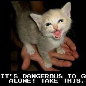 Meet your Posher, Bradley